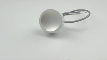 microfocused ultrasound with visualization_001