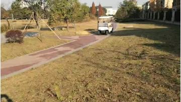 4+2 seats golf cart