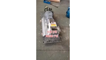 rotor pump  Food grade rotor pump Molasses juice high viscosity delivery pump1