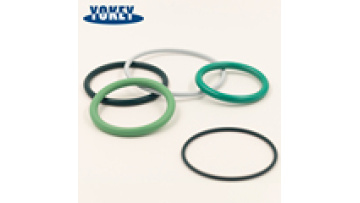 Industrial Machine Sealing Parts NBR EPDM FKM HNBR PTFE Rubber O Ring PTFE Coating O-Ring1