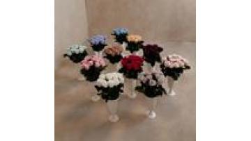 Elegant Venus Immortal Fleur: Eternal Preserved Roses in Ceramic Vase1