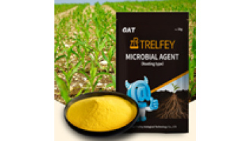 Wholesale Plant Hormones for Rapid Growth and Healthy Rooting1