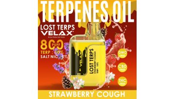 Lost Terps Ecig oil disposable vape