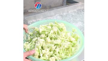 TS-X680S Cyclone-type commercial vegetable washing machine