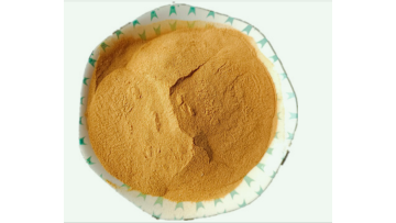Corn Steep Liquor Powder 42%