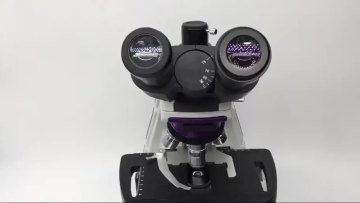 VB-2016TI 40X-1000X Professional  Trinocular Infinity Compound Microscope has Superior  Infinity optics offers crystal clear1