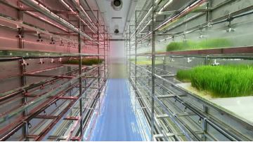 Video of internal spraying in a forage plant 4