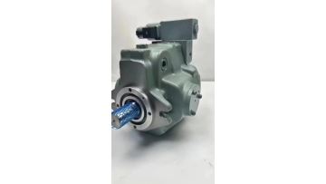 A16/A22/A37/A45/A56/A70/A90/A100/A145 domestic sub