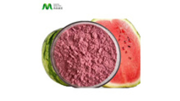 Youth Wholesale Freeze Dried EU Organic Watermelon Powder1