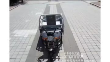 Silver passenger and cargo tricycle