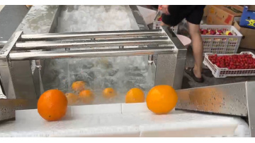 Orange washing machine fruit vegetable washing machine