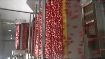 IQF strawberry production line (freezing)
