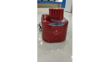 Mini ice maker