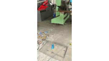 alligator shear