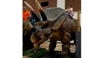 triceratops dinosaur costume