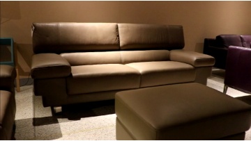 Adjustable Headrest Sofa