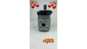 Eckerle EIPS Series gear pump