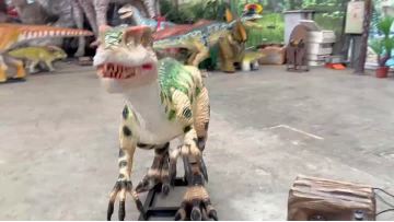 5.15Coelophysis