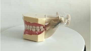 dental