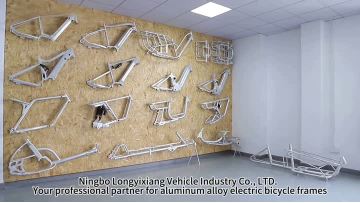 Longyi Detailed Company Introduction