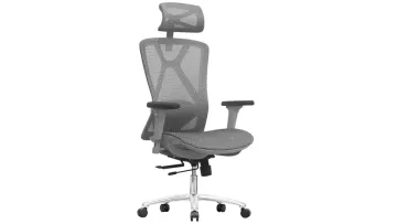 Adjustable Mesh Chair with Headrest and Lumbar Support1
