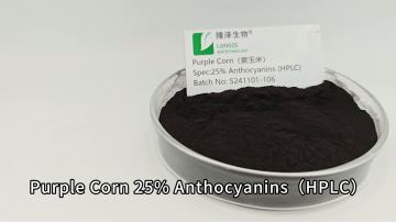 Purple Corn 25% Anthocyanin