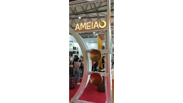 show on Shanghai Exhibition
