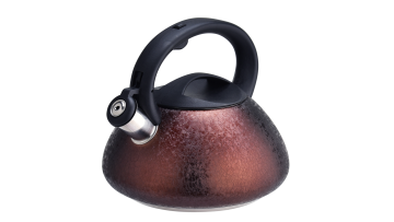 Brown ice flower coating water kettle FH-309