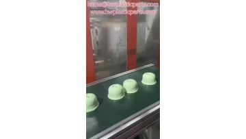 Plastic injection molded products