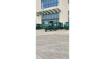 Sustainable Delivery Tricycle for Urban Routes