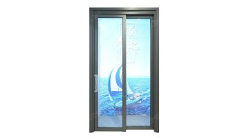 slide and swing pt door