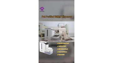 93d89439abd621deaa13d93624bd5f31