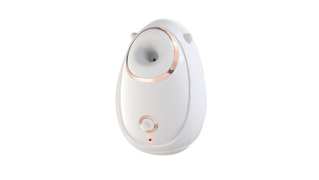 Face steamer BFS01