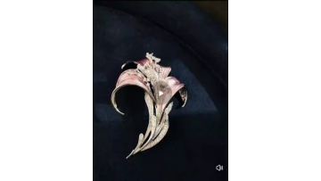 advanced orchid brooch
