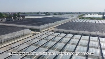 China Supplier Commercial customized multi-span agricultural greenhouses factory price1