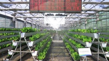 Agriculture dwc vertical PVC hydroponic growing systems1