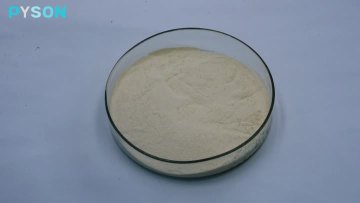 Ginsenosides 20%