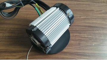 Electric tricycle motor