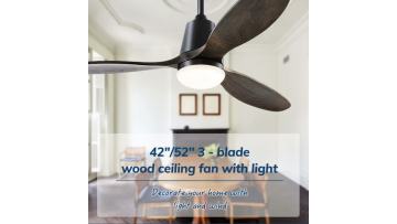 Professional Ceiling Fan with Light and Remote Control