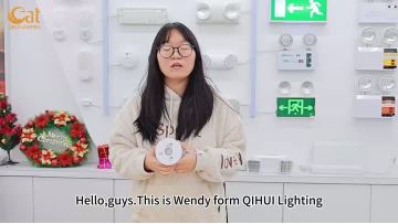 Emergency Downlight 411
