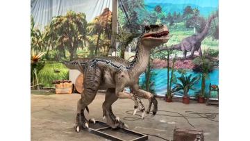 Deinonychus Video