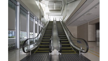 escalator video new