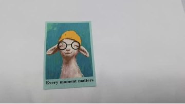 Dye sublimation layer with silicone logo