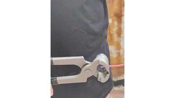 Yellow and green nutcrackers