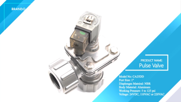 CA25DD 1'' Dresser Nut Dust Collector Diaphragm Pulse Jet Solenoid Valve 24V 110V 220V