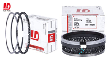 1D Piston Ring Video