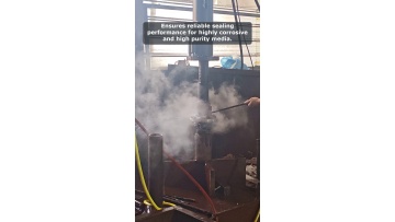 Video 16