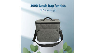 CB225 Grey tote lunch bag