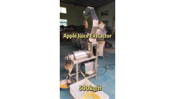 Apple Juicer Machine