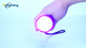 OEM UV Detecting Waterproof Flash light IPX4 Waterproof 51 LED UV Torch Flashlight1